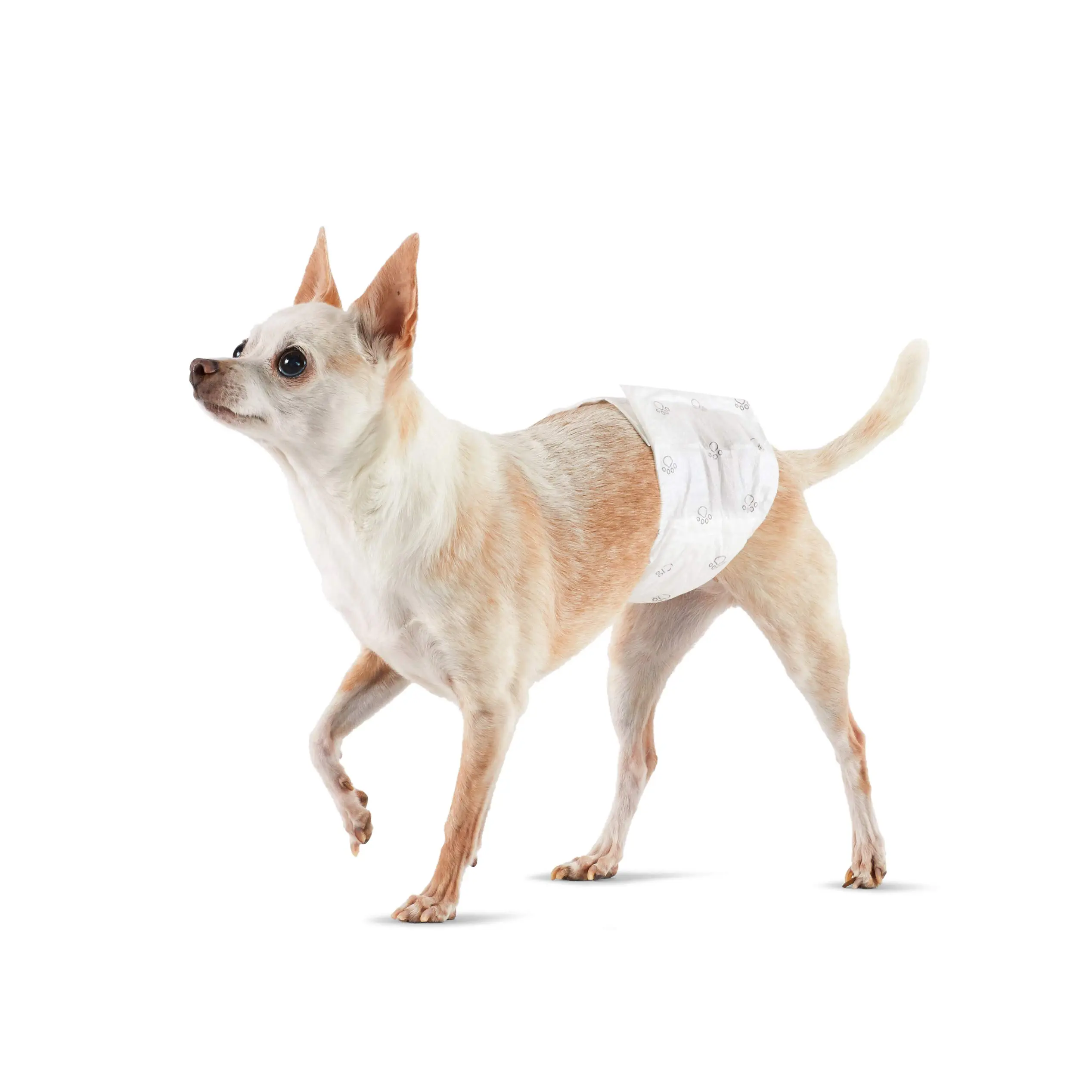 https://www.mickersanitary.com/customized-color-disposable-pet-diapers-super-absorbent-pet-training-diapers-wholesale-product/