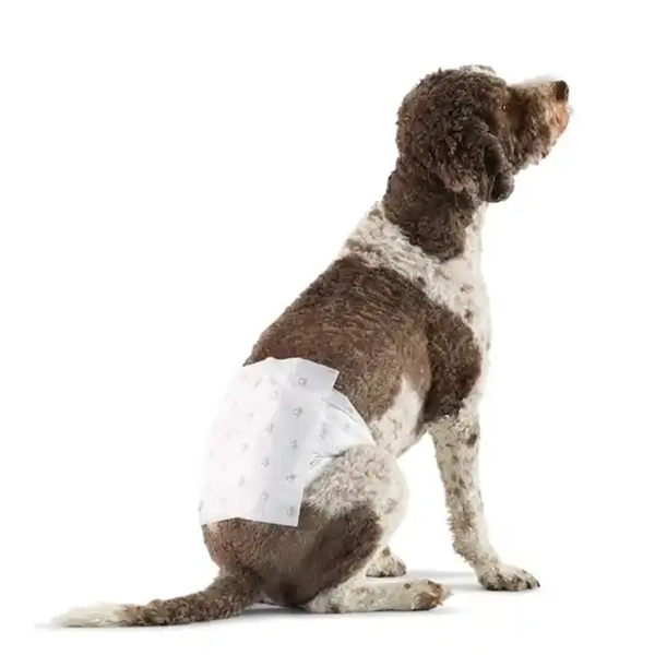 Disposable Pet Diapers