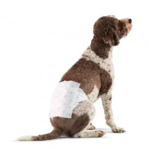 Disposable dog diapers 2