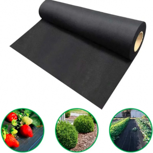 Non-woven Fabric