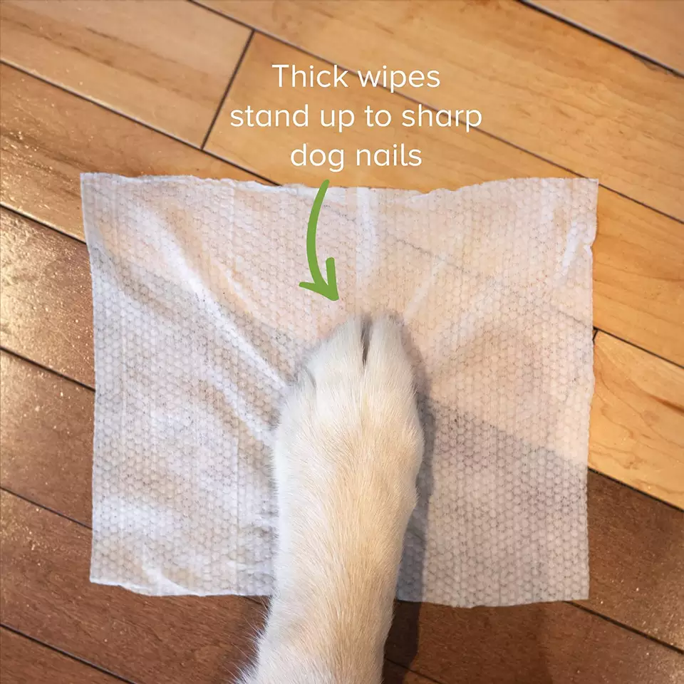 https://www.micklernonbuilt.com/biodegradable-bamboo-material-large-sheet-size-oem-gentle-cleaning-dog-wet-pet-wipes-product/